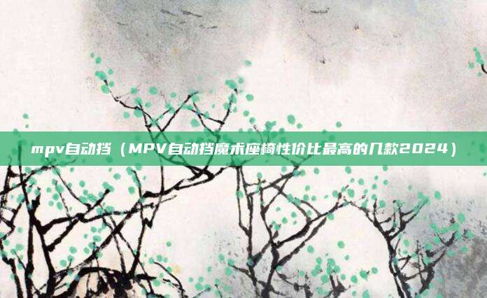 mpv自动挡(MPV自动挡魔术座椅性价比最高的几款2024)