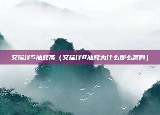 艾瑞泽5油耗高(艾瑞泽8油耗为什么那么高啊)