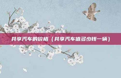 共享汽车的价格(共享汽车值多少钱一辆)