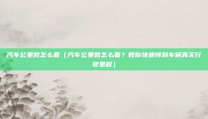 汽车公里数怎么看(汽车公里数怎么看?教你快速辨别车辆真实行驶里程)