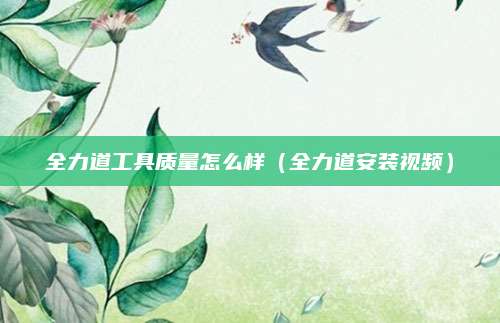 全力道工具质量怎么样(全力道安装视频)