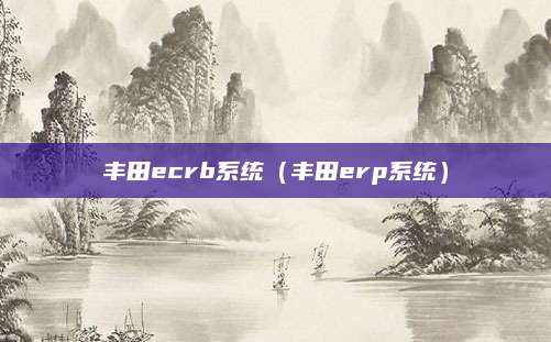 丰田ecrb系统(丰田erp系统)