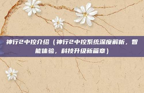 神行2中控介绍(神行2中控系统深度解析,智能体验,科技升级新篇章)