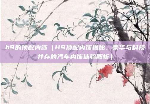 h9的顶配内饰(H9顶配内饰揭秘,豪华与科技并存的汽车内饰体验解析)