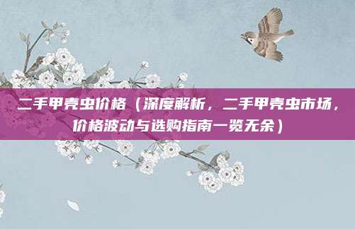 二手甲壳虫价格(深度解析,二手甲壳虫市场,价格波动与选购指南一览无余)