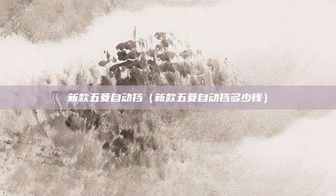 新款五菱自动挡(新款五菱自动挡多少钱)