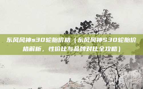 东风风神s30轮胎价格(东风风神S30轮胎价格解析,性价比与品牌对比全攻略)