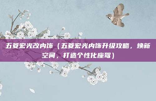 五菱宏光改内饰(五菱宏光内饰升级攻略,焕新空间,打造个性化座驾)