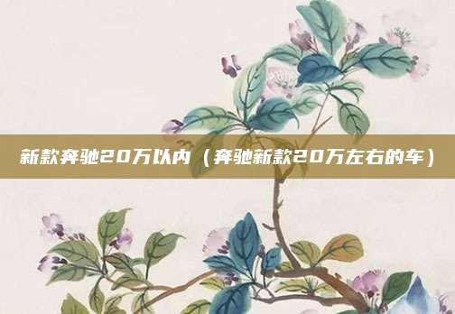 新款奔驰20万以内(奔驰新款20万左右的车)
