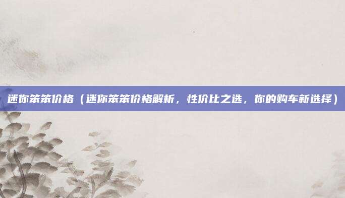 迷你笨笨价格(迷你笨笨价格解析,性价比之选,你的购车新选择)
