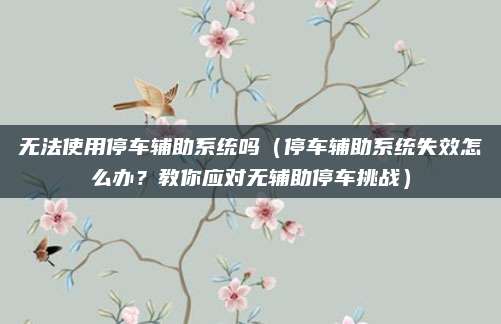 无法使用停车辅助系统吗(停车辅助系统失效怎么办?教你应对无辅助停车挑战)