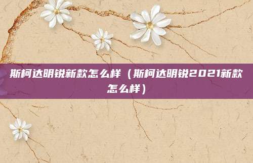 斯柯达明锐新款怎么样(斯柯达明锐2021新款怎么样)