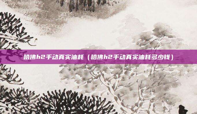 哈佛h2手动真实油耗(哈佛h2手动真实油耗多少钱)