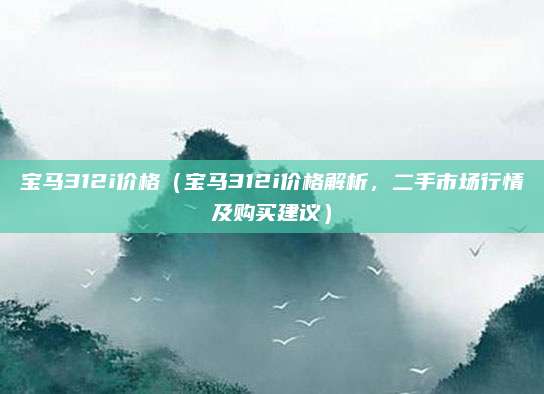 宝马312i价格(宝马312i价格解析,二手市场行情及购买建议)