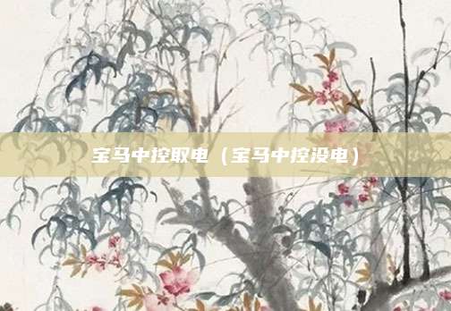 宝马中控取电(宝马中控没电)