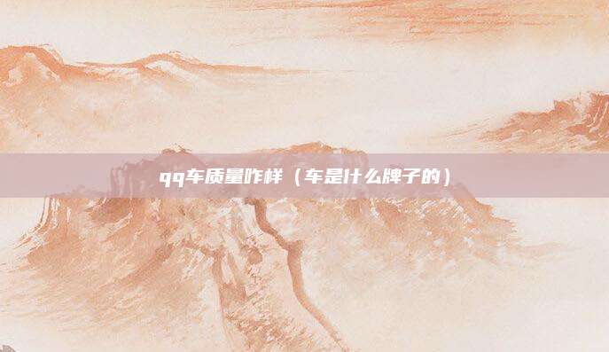 qq车质量咋样(车是什么牌子的)