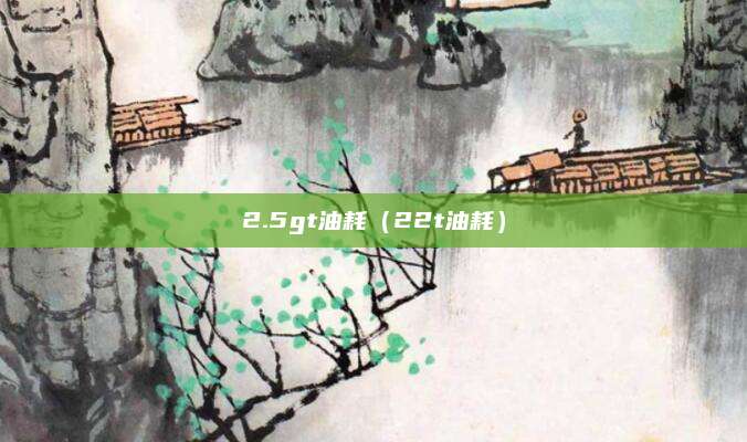 2.5gt油耗(22t油耗)