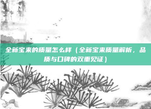 全新宝来的质量怎么样(全新宝来质量解析,品质与口碑的双重见证)