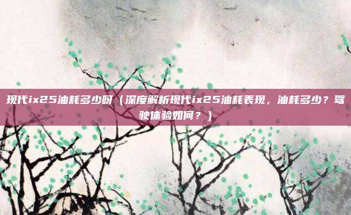 现代ix25油耗多少呀(深度解析现代ix25油耗表现,油耗多少?驾驶体验如何?)