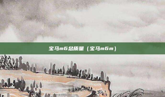 宝马m6总质量(宝马m6m)