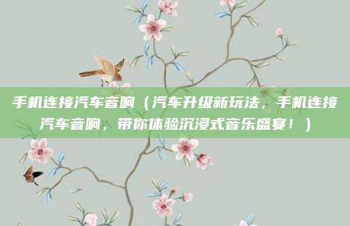 手机连接汽车音响(汽车升级新玩法,手机连接汽车音响,带你体验沉浸式音乐盛宴!)