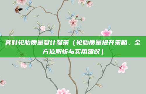 真对轮胎质量献计献策(轮胎质量提升策略,全方位解析与实用建议)