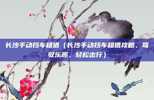 长沙手动挡车租借(长沙手动挡车租借攻略,驾驭乐趣,轻松出行)