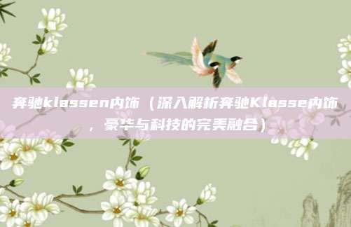 奔驰klassen内饰(深入解析奔驰Klasse内饰,豪华与科技的完美融合)