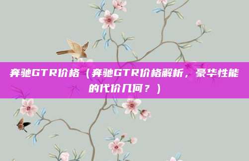 奔驰GTR价格(奔驰GTR价格解析,豪华性能的代价几何?)
