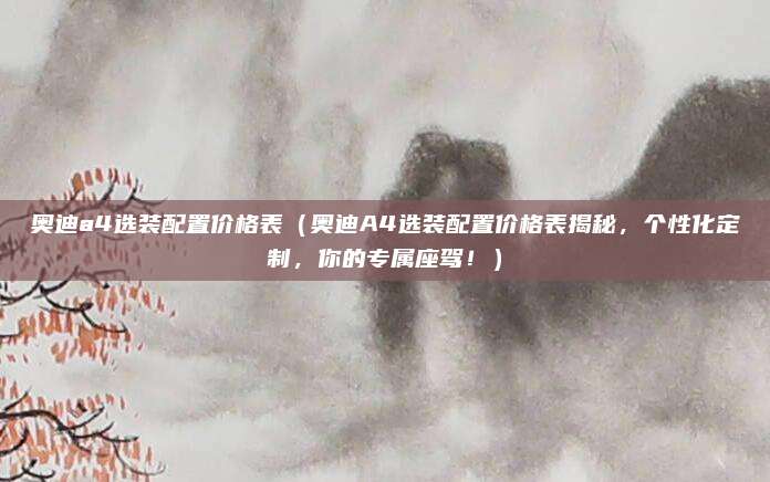 奥迪a4选装配置价格表（奥迪A4选装配置价格表揭秘，个性化定制，你的专属座驾！）