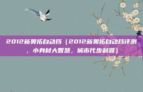 2012新奥拓自动挡(2012新奥拓自动挡评测,小身材大智慧,城市代步利器)
