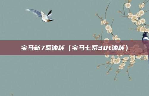 宝马新7系油耗(宝马七系30t油耗)