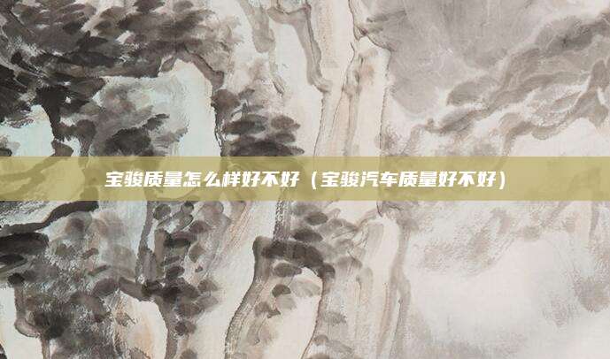 宝骏质量怎么样好不好(宝骏汽车质量好不好)