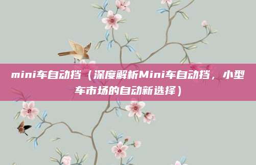 mini车自动挡(深度解析Mini车自动挡,小型车市场的自动新选择)