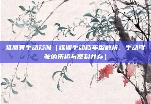雅阁有手动档吗(雅阁手动档车型解析,手动驾驶的乐趣与便利并存)
