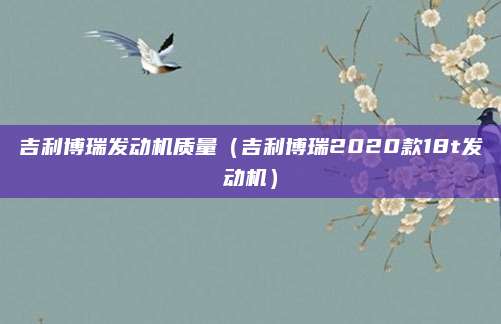 吉利博瑞发动机质量(吉利博瑞2020款18t发动机)