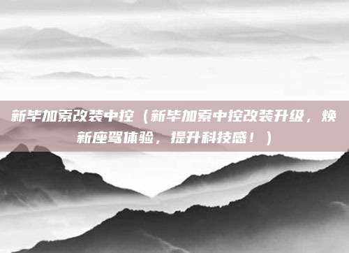 新毕加索改装中控(新毕加索中控改装升级,焕新座驾体验,提升科技感!)