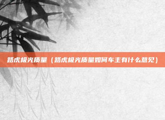 路虎极光质量(路虎极光质量如何车主有什么意见)
