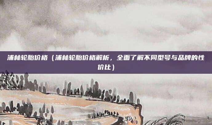 浦林轮胎价格(浦林轮胎价格解析,全面了解不同型号与品牌的性价比)