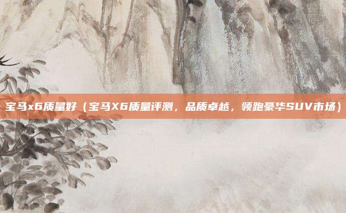 宝马x6质量好(宝马X6质量评测,品质卓越,领跑豪华SUV市场)