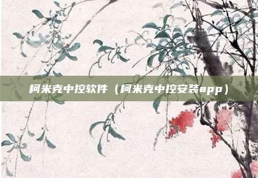 柯米克中控软件(柯米克中控安装app)