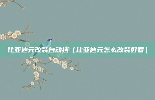 比亚迪元改装自动挡(比亚迪元怎么改装好看)