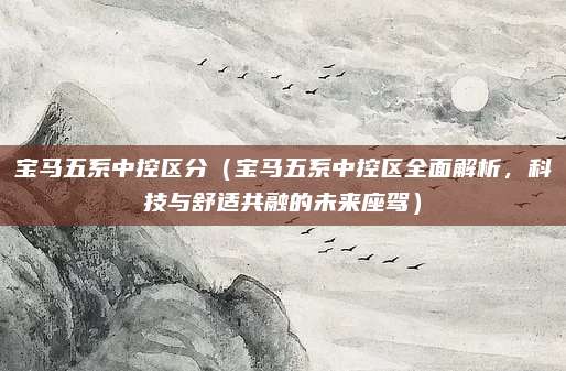 宝马五系中控区分(宝马五系中控区全面解析,科技与舒适共融的未来座驾)