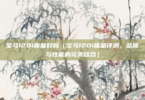 宝马120i质量好吗(宝马120i质量评测,品质与性能的完美结合)
