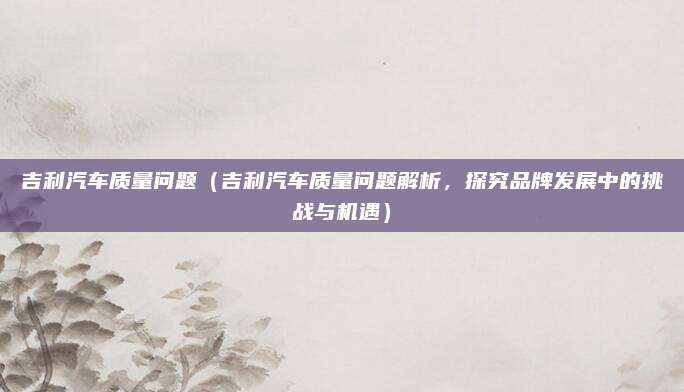吉利汽车质量问题(吉利汽车质量问题解析,探究品牌发展中的挑战与机遇)
