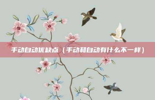手动自动优缺点(手动和自动有什么不一样)