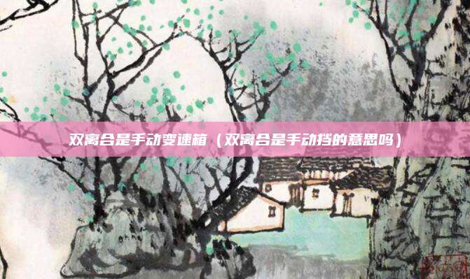 双离合是手动变速箱(双离合是手动挡的意思吗)