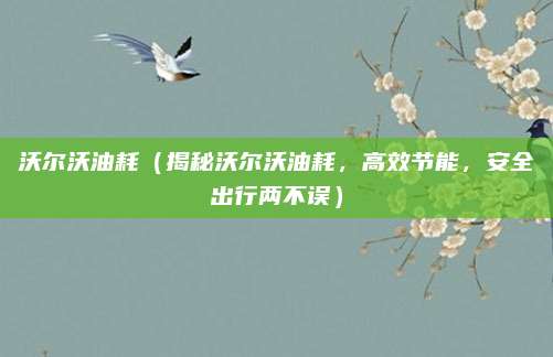 沃尔沃油耗(揭秘沃尔沃油耗,高效节能,安全出行两不误)