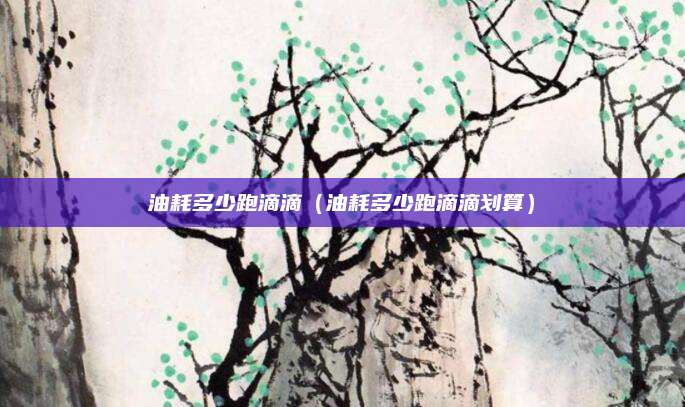 油耗多少跑滴滴(油耗多少跑滴滴划算)