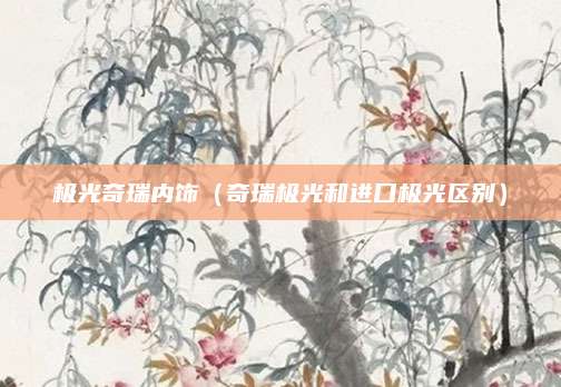 极光奇瑞内饰(奇瑞极光和进口极光区别)